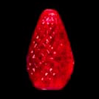C7 25 LED Light Set Red