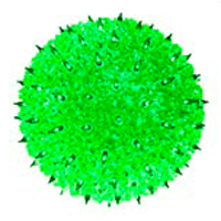 150 Light 10" Standard Sphere Green