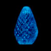 C7 25 LED Light Set Blue