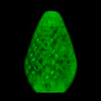 C7 25 LED Light Set Green