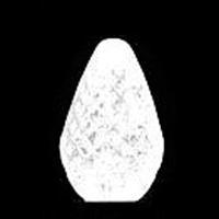 C7 25 LED Light Set Pure White
