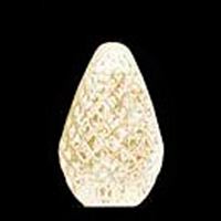 C7 25 LED Light Set Warm White